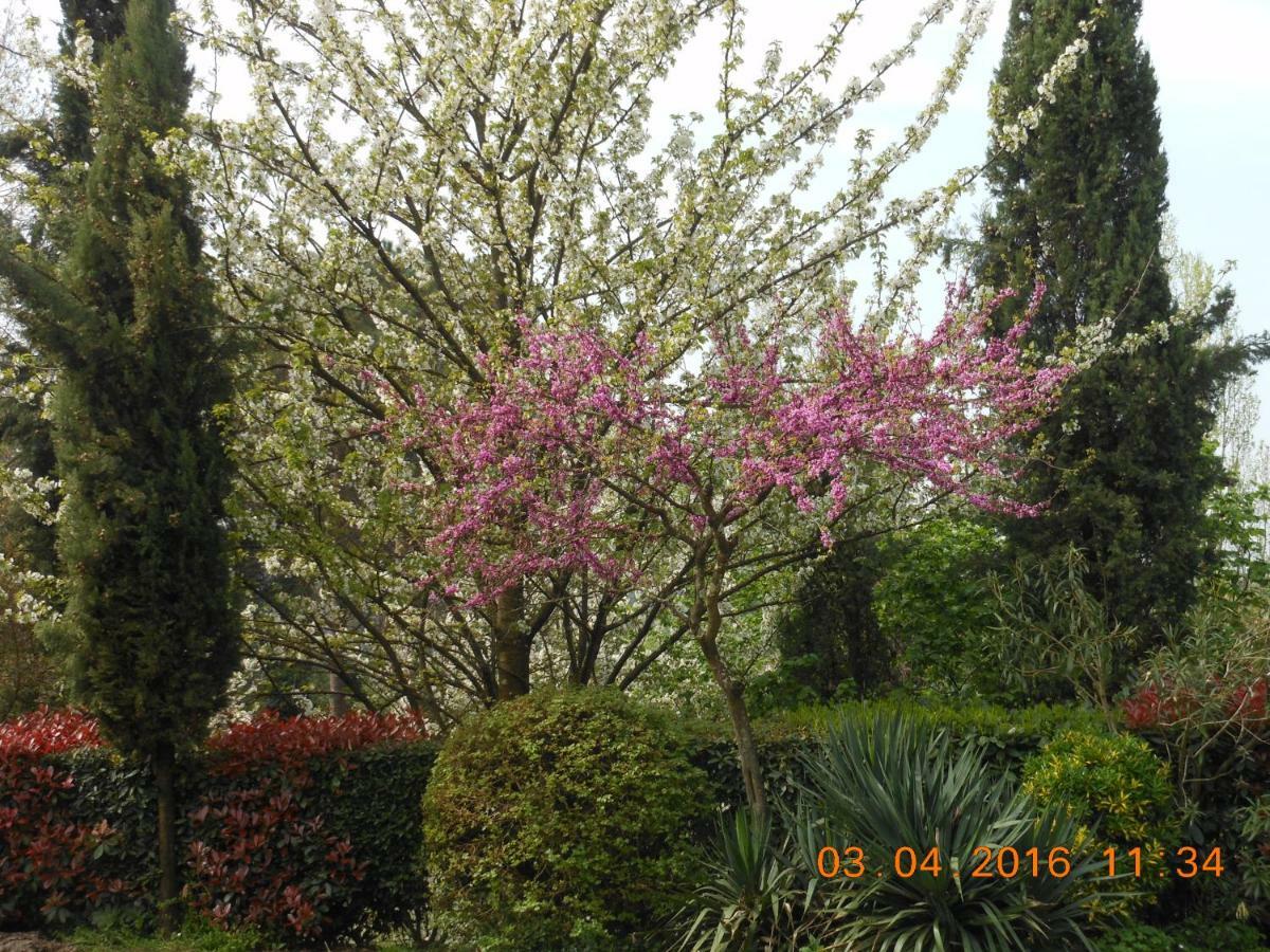 Il Fienile Del Colle Villa Pescia Bagian luar foto
