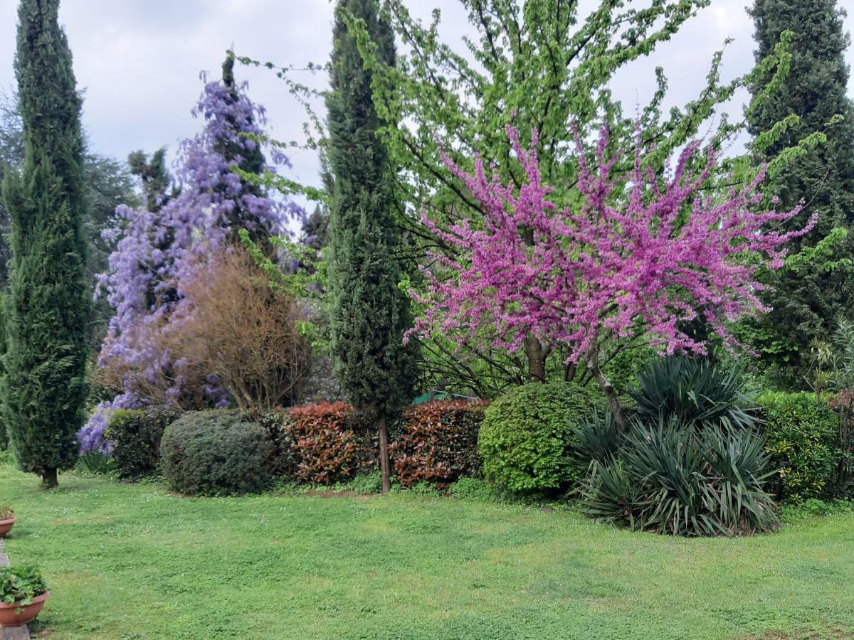 Il Fienile Del Colle Villa Pescia Bagian luar foto